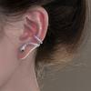 Silver needle zircon exquisite natal year snake earrings Korean ins niche design stud earrings women's high-end earrings
