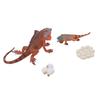 Iguana Life Cycle Model Set Growth Lifelike PVC Plastic Toy Early Education Animal Figures