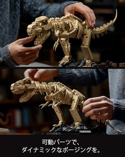 Nifeliz Tyrannosaurus Skeleton Building Blocks Toy for Adults, Building Blocks Model for Office/Home Decor | Birthday Gift (826 Pieces, NF10343)