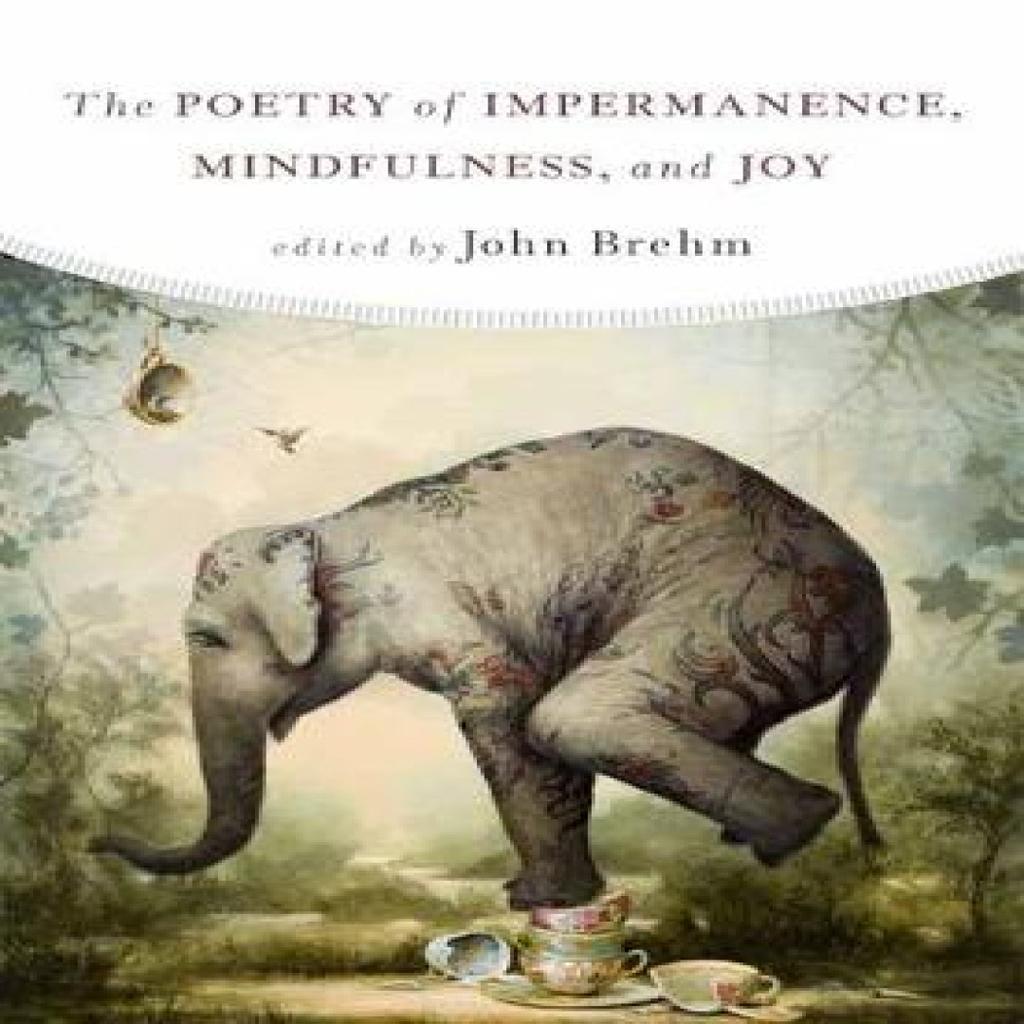 The Poetry of Impermanence Mindfulness and Joy by John Brehm Paperback Book 9781614293316