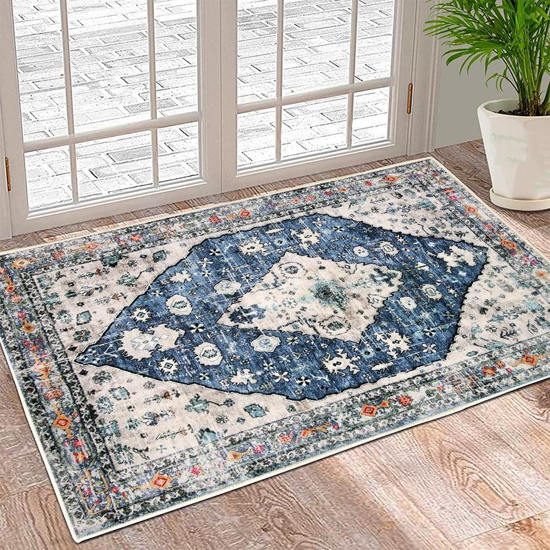 European Classical Entrance Mats For Home Use Dove Velvet Mats For Doorways Anti Slip Washable, Dust Removal Mats