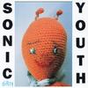 CD SONIC YOUTH  Dirty UICY90035 Geffen Records 2005 Japan Rock Used