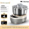 Electric Smart Stainless Steel Noodle Maker & Dough Mixer – Automatic Kneading & Mixing Integrated Machine