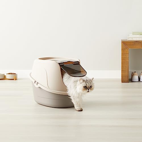 Amazon Basics Cat Litter Box with Hood, 53 X 41 X 38 Cm, Standard, Multicolor