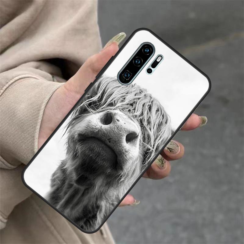 Highland Cows For Huawei Nova 11i 8i 7i 3i Nova 9 10 SE 5T Y60 Y70 Y90 Y91 Y61 P20 P30 P40 Lite Pro Case