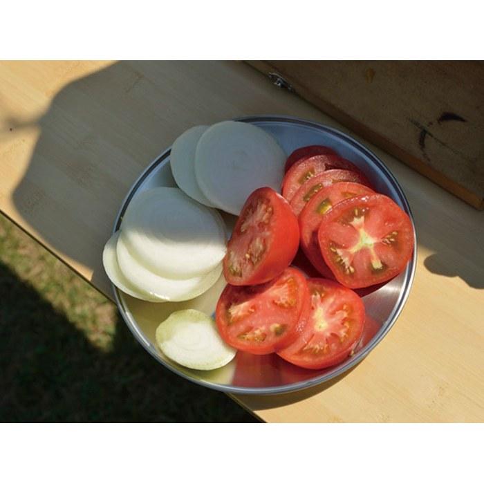 Snow Peak Stainless Steel SP Tableware Plate L TW034