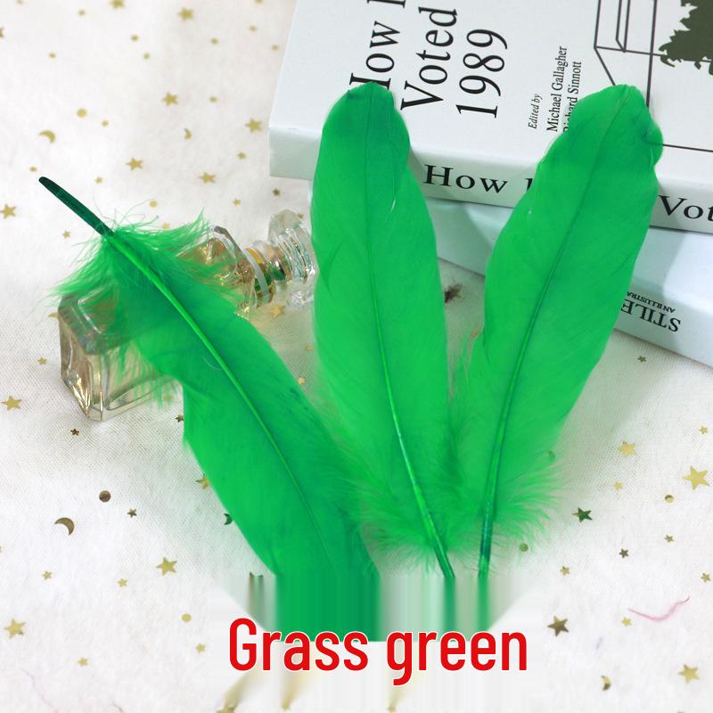 Barevná barvená velká husí pera pro DIY řemesla, ručně vyráběné dekorace a projekty pro mateřské školy