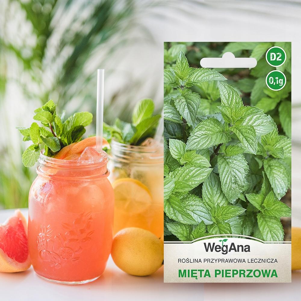 Set of Herb Seeds Mint Oregano Basil Coriander Lovage 5 Pcs. for the Garden