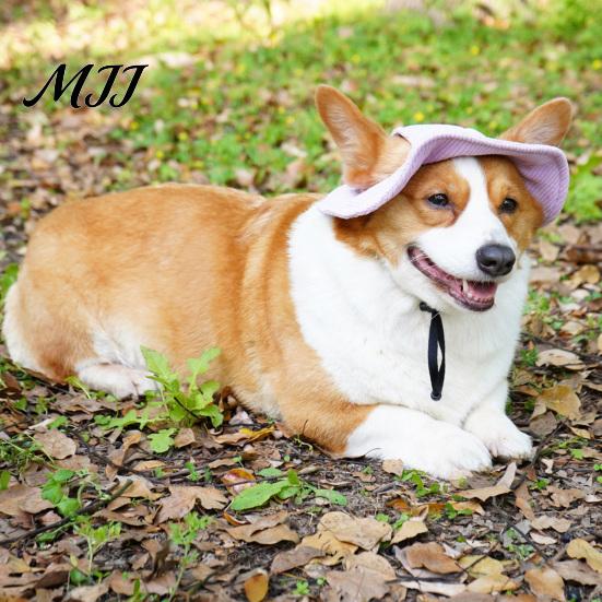 Дышащий Вельветовый Головной Убор, Собачья Бейсболка, Летний Пляжный Козырек для Кошки с Отверстиями для Ушей для Защиты на Открытом Воздухе, Регулируемый Щиток от Солнца для Щенка