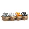 Paper Box Chis Sweet Home Cartoon Pvc Cat Figurine Garden Dcor For Plant Enthusiasts