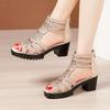 Black High Heeled Sandals Women's Peep Toe Rhinestone Design Retro Roman Style Thick Sole Waterproof Platform Summer