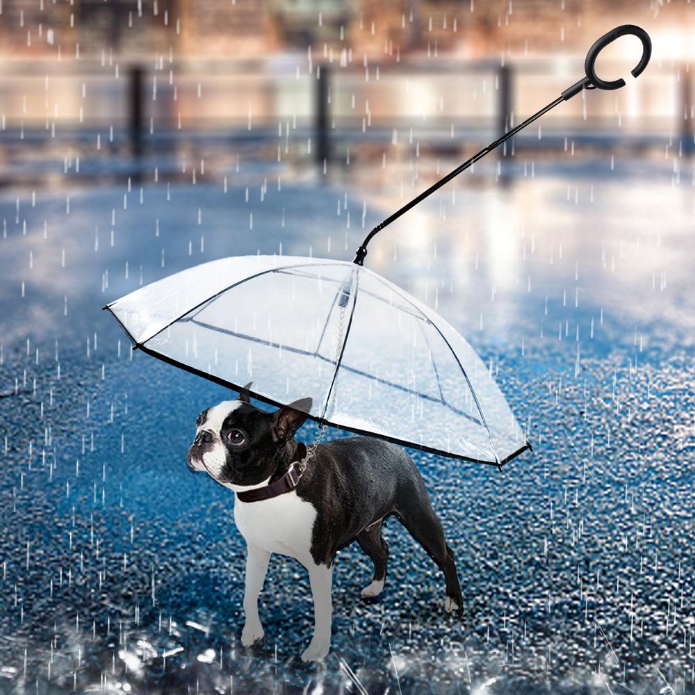 dog handle umbrella