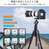 ARTCISE Lightweight Aluminum Camera Tripod 36mm Ball Head Max Lever Travel Monopod Quick Release Compatible with Maximum Load 15kg & Kit, 197.8cm
