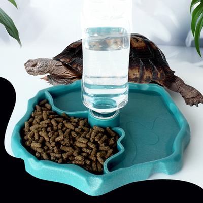 1pc - Mangeoire pour Reptiles, Gamelle pour Nourriture de Tortue, Bol pour Petits Animaux pour Reptiles et Amphibiens, Amovible, Facile à Nettoyer, Fournitures pour Petits Animaux