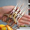 1PC Stainless Steel Vintage Scissors for Sewing Fabric Cutter Embroidery Tailor Thread Shears - Sewing Tool