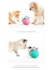 New Hot-Selling Slow Feeder Tumbler Balance Car Dog Toy