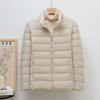 Thin Down Jacket Women's Short Models, New Models In the New Year, Large Size, Anti-season Clearance, White Duck Down, Light Jacket, Winter E