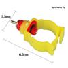 Automatic Chicken Drinker: Spring Valve & Nipple Cup System