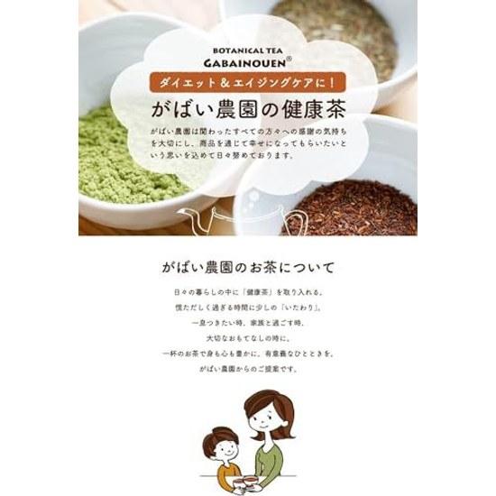 Gabai Farm Organic Cultivated Oolong Tea 3g40 bags (Oolong Tea) Domestic (Oita) JAS Chinese Health Bag Additive-Free