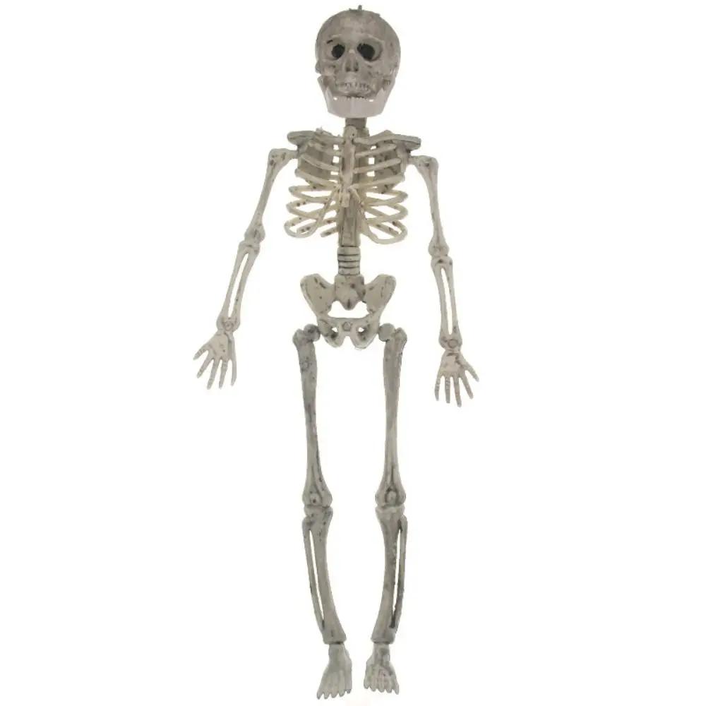 Human Bones Halloween Bats Skeleton Skeleton Model Scary Halloween Animal Skeleton Plastics Bat Mouse Lizard Scorpion Home