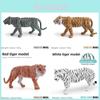 Wildtier Tiger Modell für Kinder Pädagogische Dekoration PVC Statische Figur