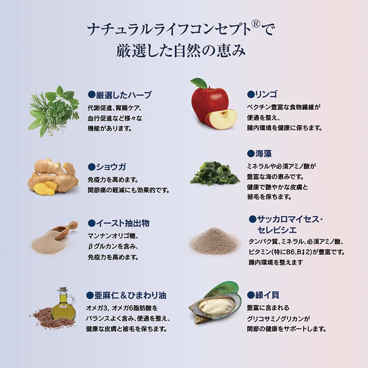 HAPPY CAT Stomach Intestin Gastrointestinal All Cat Adult To Senior pH Human Made In Cat Dry & - Care, Breeds, Cats, Control, Gluten-Free,