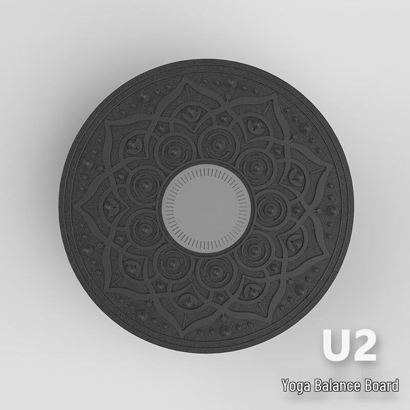 Healthsoo U2 Fitness Balance Board