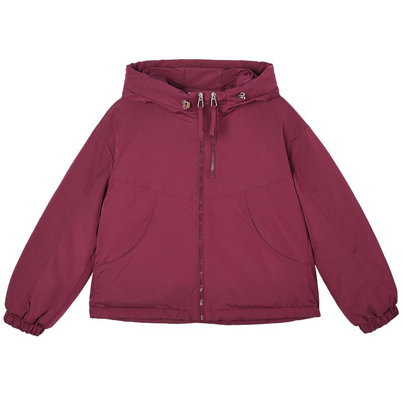 Women’s Short Hooded Quilted Cotton-Padded Winter Jacket