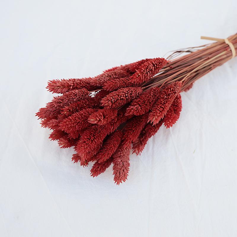 Natural Dried Statice Flower Bouquet - Everlasting Decoration for Vase & DIY Arrangements