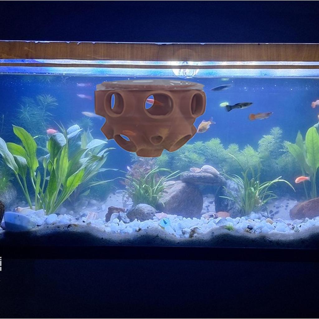 Aquarium Shrimp House Realistic Fish Tank Betta Habitat Fish And Shrimp Floating Shelters Aquarium Hiding Places Decorations