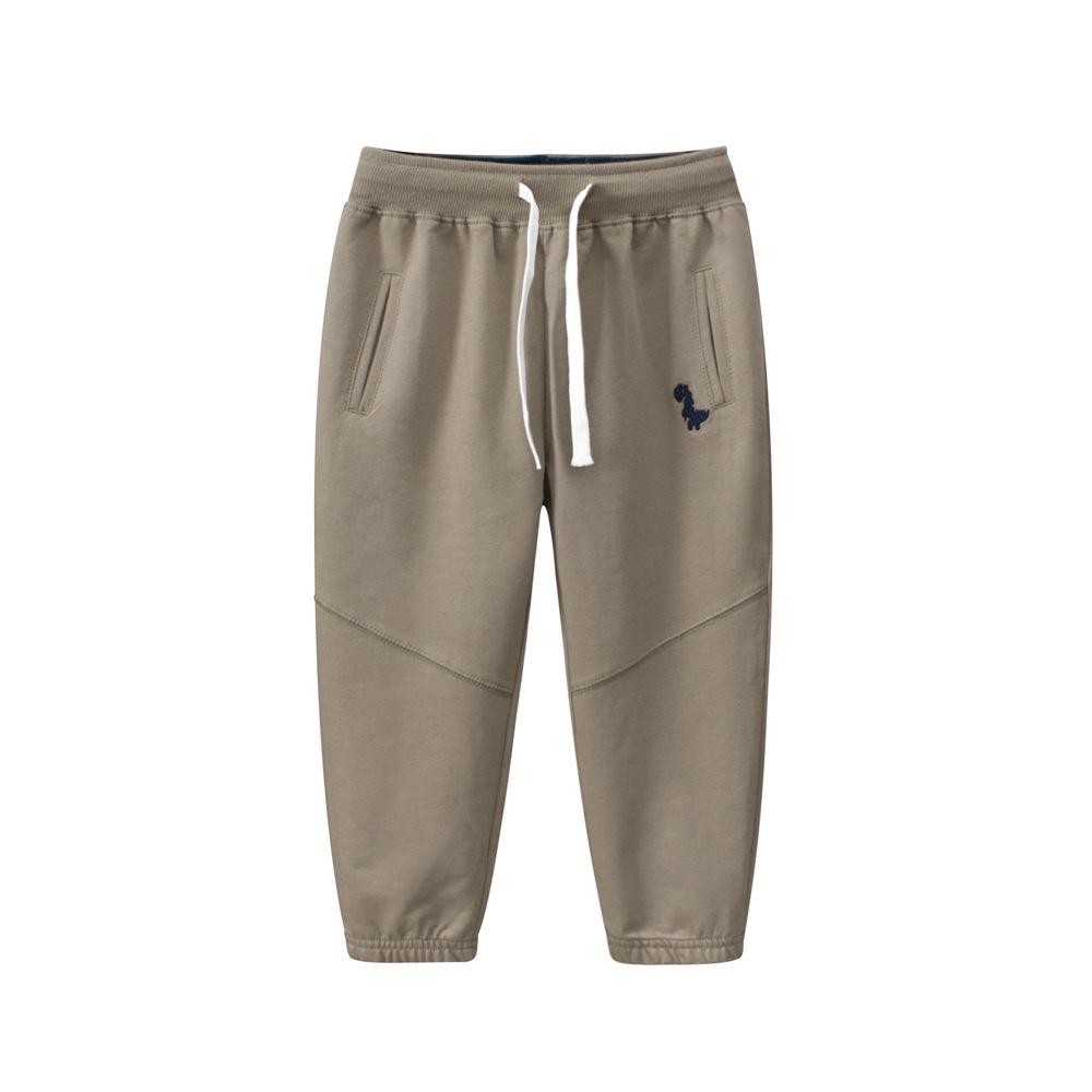 2024 Children's Dinosaur Sports Pants - Boys' Autumn Trousers