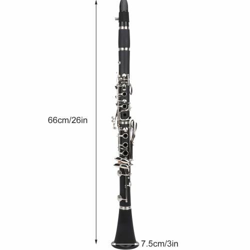 17-Key B-Flat Clarinet Set for Students and Professionals, Includes BB Cleaning, Cross Reeds, and Driver Box (Black)
