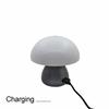 Warm White Lights Mushroom LED Table Lamp Dimmable Function USB Charging Port USB Charging Night Light Touch Control