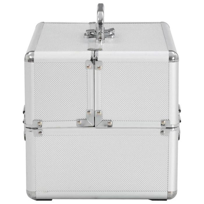VidaXL Mallette à maquillage 22x30x21 cm Argenté Aluminium