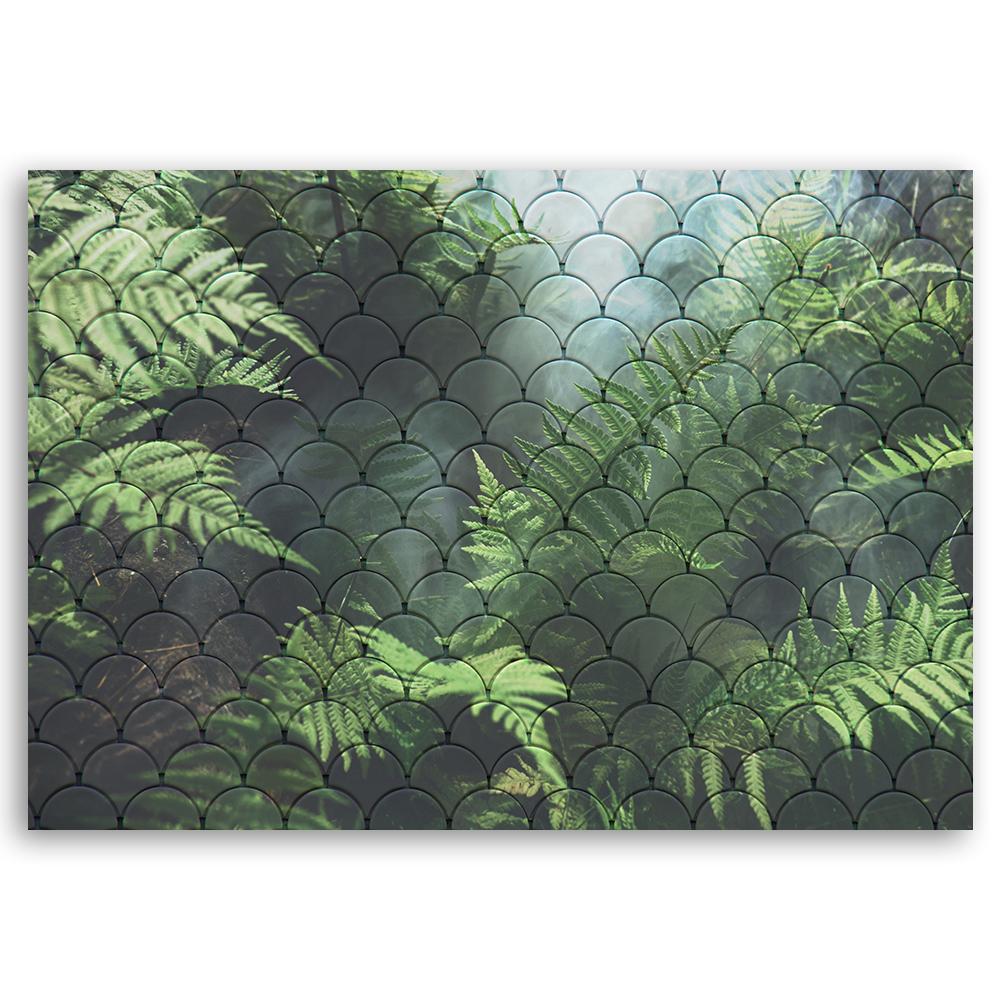 Canvas Print, Fern Leaves Nature