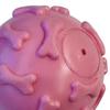 Squeaky Dog Ball Raised Texture Dog Chew Toy Bite-Resistant Puppy Teething Toy for Dogs Teeth Cleaning Boredom Relief