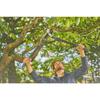 Coupe-branches enclume - gardena - energycut pro l - lames en acier - 50 mm - 1260 g