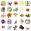 50 Sheets Fresh Plant Specimen Stickers: Art Style Cartoon Leaves, Waterproof & Decorative.
