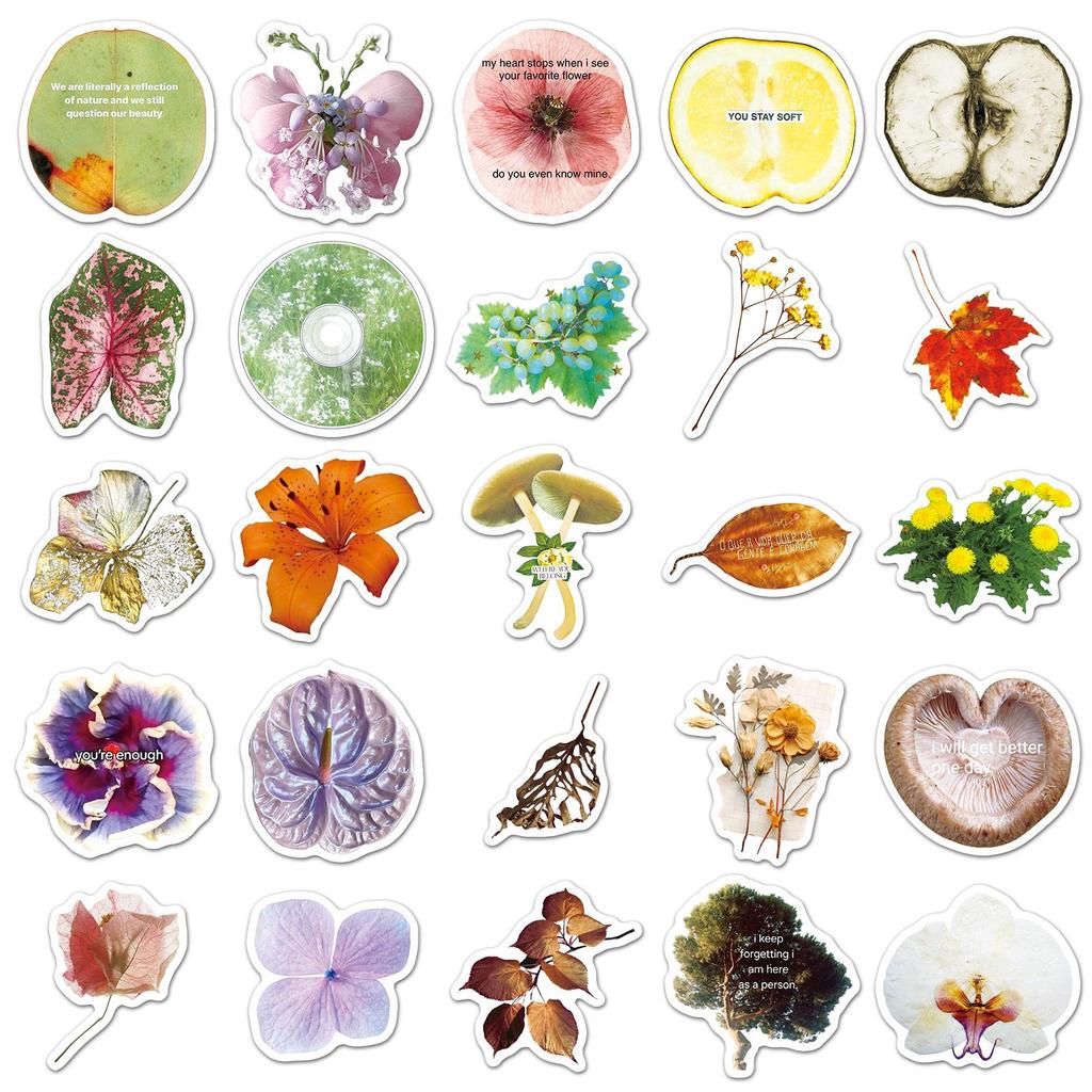 50 Sheets Fresh Plant Specimen Stickers: Art Style Cartoon Leaves, Waterproof & Decorative.