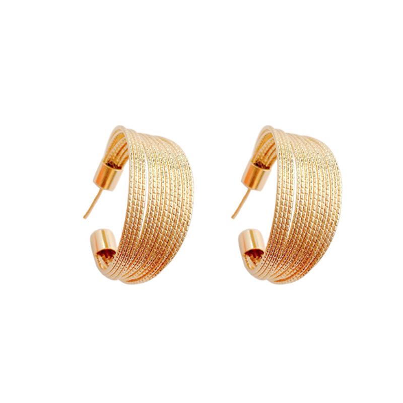 S925 Silver Needle European-American Exaggerated Design Hoops - 2023 New Niche Luxury Earrings