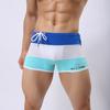 Summer Men Sport Beach Quick-drying Shorts Swimming Boxer Short Pants