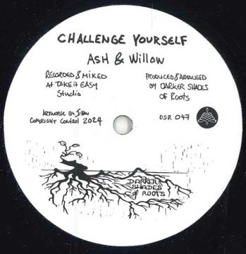 

7inch Record ASH WILLOW THE SHADES Challenge Yourself Grow More Lovi DSR4748 Darker Shades 2024 Europe Reggae Ska Dub