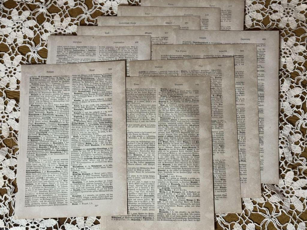 [USED] Antique Foreign Books, 70 Pieces, 2