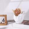 Resin Human Face Vase Aesthetic Hydroponic Flower Holder Desktop Ornament Flower Pot  Living Room