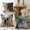 Rock Hyrax Animal Cushion Cover Pillow Cover Decor Pillowcase Printed Cushion Case for Couch