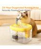 New Cat Water Fountain Auto Filter Transparent Cat Drinker USB Anti-Dry Burning Recirculate Filtering Water Dispenser with Pump
