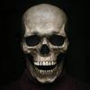 Horror Masquerade Supplies Full Face Adult Mask Halloween Latex Head Scary Mask