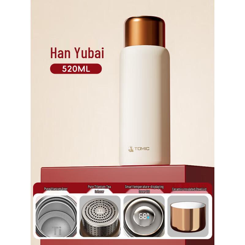 Temeke Titanium Insulated Tea Bottle with Temperature Display