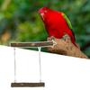 Parrot Stand Bite Resistant Flexible Disassembly Natural Materials Climb And Play Perched Puzzle Fitness Portable Bird Perch Parrot Stand Stick