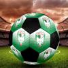 Les Fennecs Soccer Ball Colorful All Ages Machine Stitched PVC Competition Ready Durable High-Bounce.SIZE5